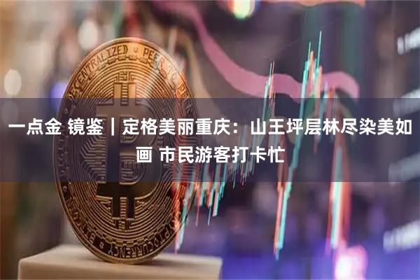 一点金 镜鉴｜定格美丽重庆：山王坪层林尽染美如画 市民游客打卡忙