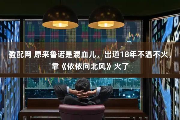 盈配网 原来鲁诺是混血儿，出道18年不温不火，靠《依依向北风》火了